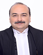 Judge